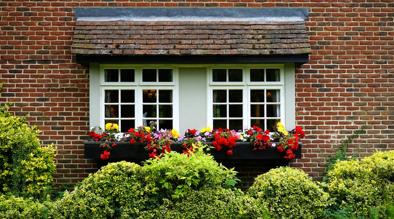 home garden